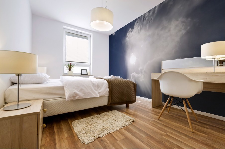 Heavenly Rays Mural print