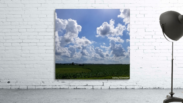 Breath taking Wall Preview