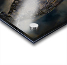 ANI 02189 Acrylic print