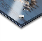 BIR 02193 Acrylic print