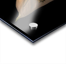 FLO 02218 Acrylic print