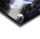 FLO 02312 Acrylic print