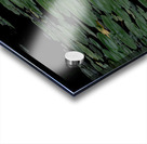 FLO 02302 Acrylic print