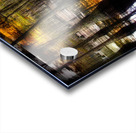 LAN 02585 Acrylic print