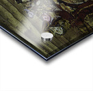 ABS 00007 Acrylic print