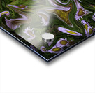 ABS 00064 Acrylic print