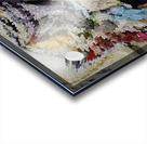 ABS 00017 Acrylic print