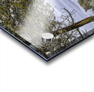 ANI 00150 Acrylic print