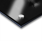 BIR 00233 Acrylic print