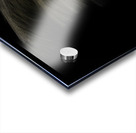 FLO 00526 Acrylic print