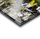 ACT 01379 Acrylic print