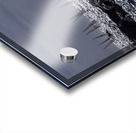 ACT 01350 Acrylic print