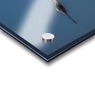 BIR 01721 Acrylic print