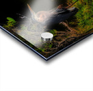 BIR 01718 Acrylic print