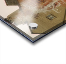 CIT 01743 Acrylic print