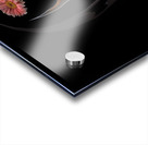 FLO 01818 Acrylic print