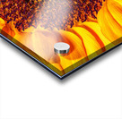 FLO 01764 Acrylic print