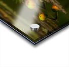 FLO 01759 Acrylic print