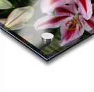 FLO 01810 Acrylic print