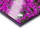 FLO 01806 Acrylic print