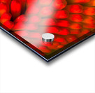 FLO 01822 Acrylic print