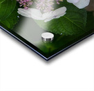 FLO 01773 Acrylic print