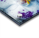 FLO 01813 Acrylic print