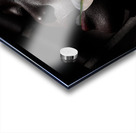 PEO 01852 Acrylic print