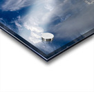 *WAT 01882 Acrylic print