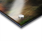 ABS 01968 Acrylic print