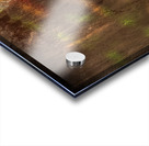 ABS 02020 Acrylic print