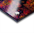 ABS 02014 Acrylic print