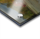 LAN 02079 Acrylic print