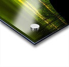 LAN 02048 Acrylic print