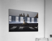 ANI 02126 Acrylic Print