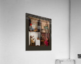 *BAR 02103 Acrylic Print