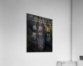 ANI 02189 Acrylic Print