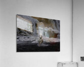 ANI 02303 Acrylic Print