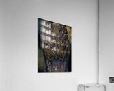 ANI 02190 Acrylic Print