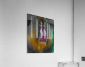 ANI *02173 Acrylic Print