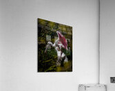 BIR*02355 Acrylic Print