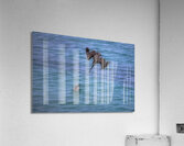 BIR 02241 Acrylic Print