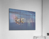 BIR 02193 Acrylic Print