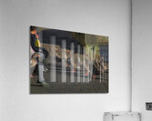 BIR 02243 Acrylic Print