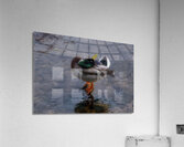 BIR 02309 Acrylic Print