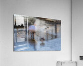 BIR 02145 Acrylic Print