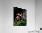 FLO 02286 Acrylic Print