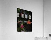 FLO 02277 Acrylic Print