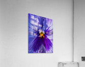 FLO 02154 Acrylic Print