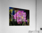 FLO 02267 Acrylic Print